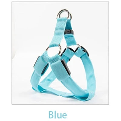 Dog Leash LED Light-Up Nylon Flashing Visibility