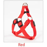 Dog Leash LED Light-Up Nylon Flashing Visibility
