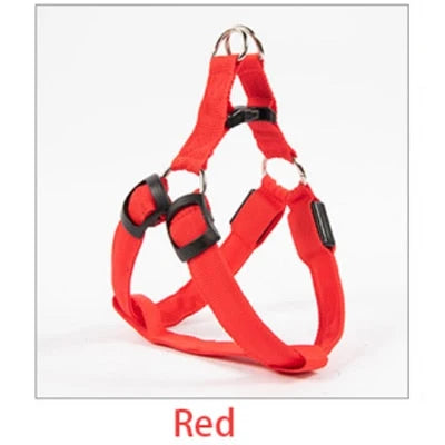 Dog Leash LED Light-Up Nylon Flashing Visibility