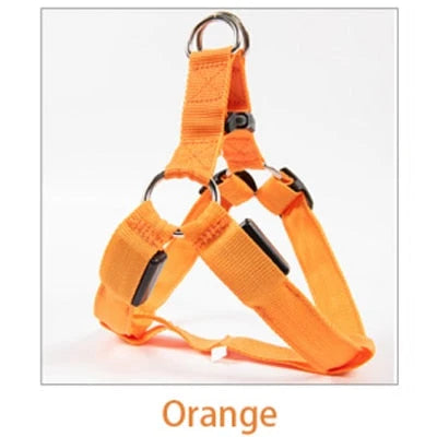 Dog Leash LED Light-Up Nylon Flashing Visibility