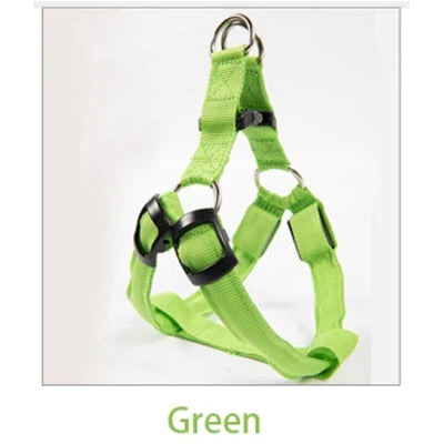 Dog Leash LED Light-Up Nylon Flashing Visibility