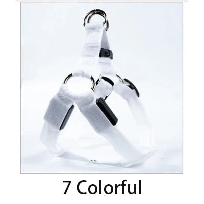 Dog Leash LED Light-Up Nylon Flashing Visibility