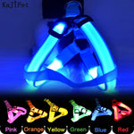 Dog Leash LED Light-Up Nylon Flashing Visibility