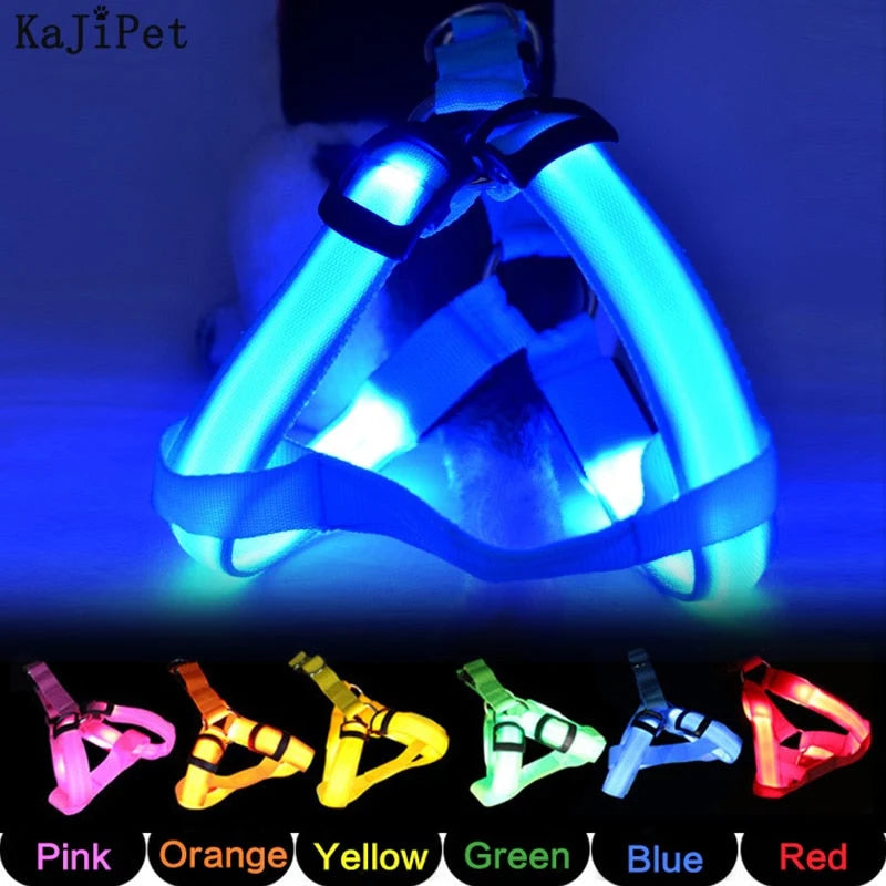 Dog Leash LED Light-Up Nylon Flashing Visibility