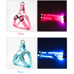 Dog Leash LED Light-Up Nylon Flashing Visibility