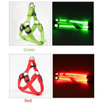 Dog Leash LED Light-Up Nylon Flashing Visibility