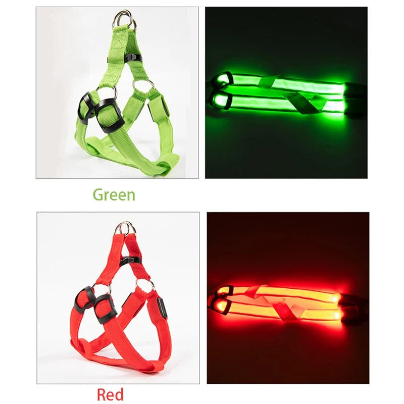 Dog Leash LED Light-Up Nylon Flashing Visibility