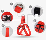 Dog Leash LED Light-Up Nylon Flashing Visibility