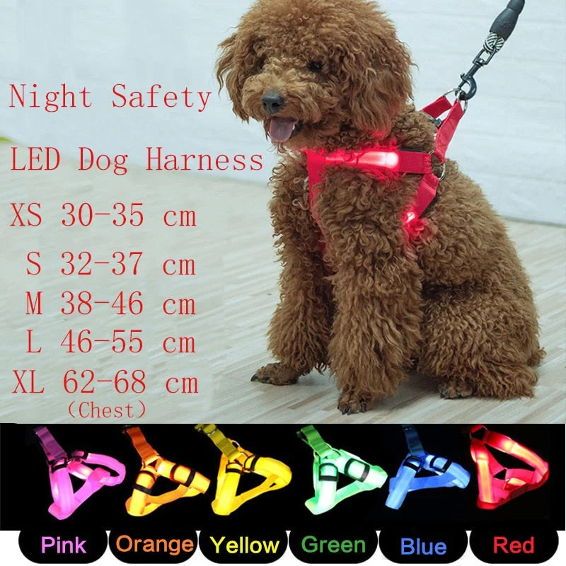 Dog Leash LED Light-Up Nylon Flashing Visibility
