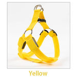 Dog Leash LED Light-Up Nylon Flashing Visibility