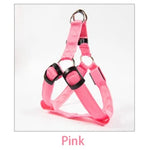 Dog Leash LED Light-Up Nylon Flashing Visibility
