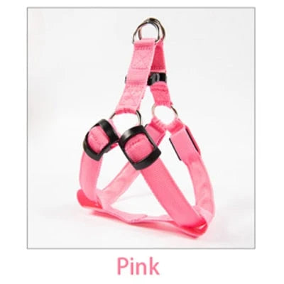 Dog Leash LED Light-Up Nylon Flashing Visibility