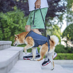 Dog Lift Harness Full-Body Support Padded Breathable Top Handles