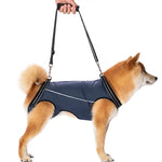 Dog Lift Harness Slip-On Adjustable Handles