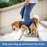 Dog Lift Harness Slip-On Adjustable Handles