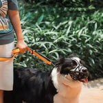 Dog Muzzle Adjustable Breathable Anti-Bite & Anti-Bark