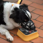 Dog Muzzle Adjustable Breathable Anti-Bite & Anti-Bark