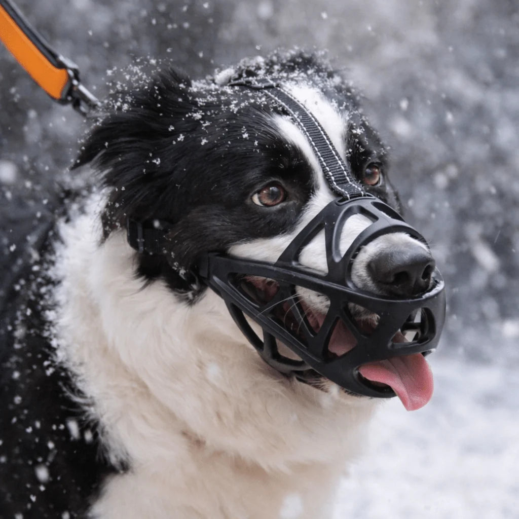 Dog Muzzle Soft Breathable Lightweight Comfort