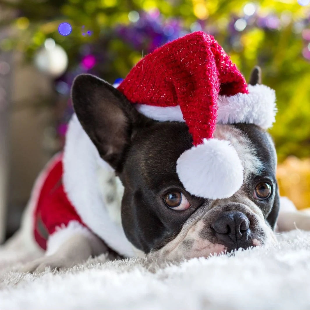 Dog Santa Hat Plush Soft-Lined Adjustable Fit