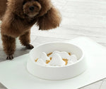 Dog Slow Feeder Bowl Raised Dividers 2-Cup Capacity