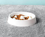 Dog Slow Feeder Bowl Raised Dividers 2-Cup Capacity