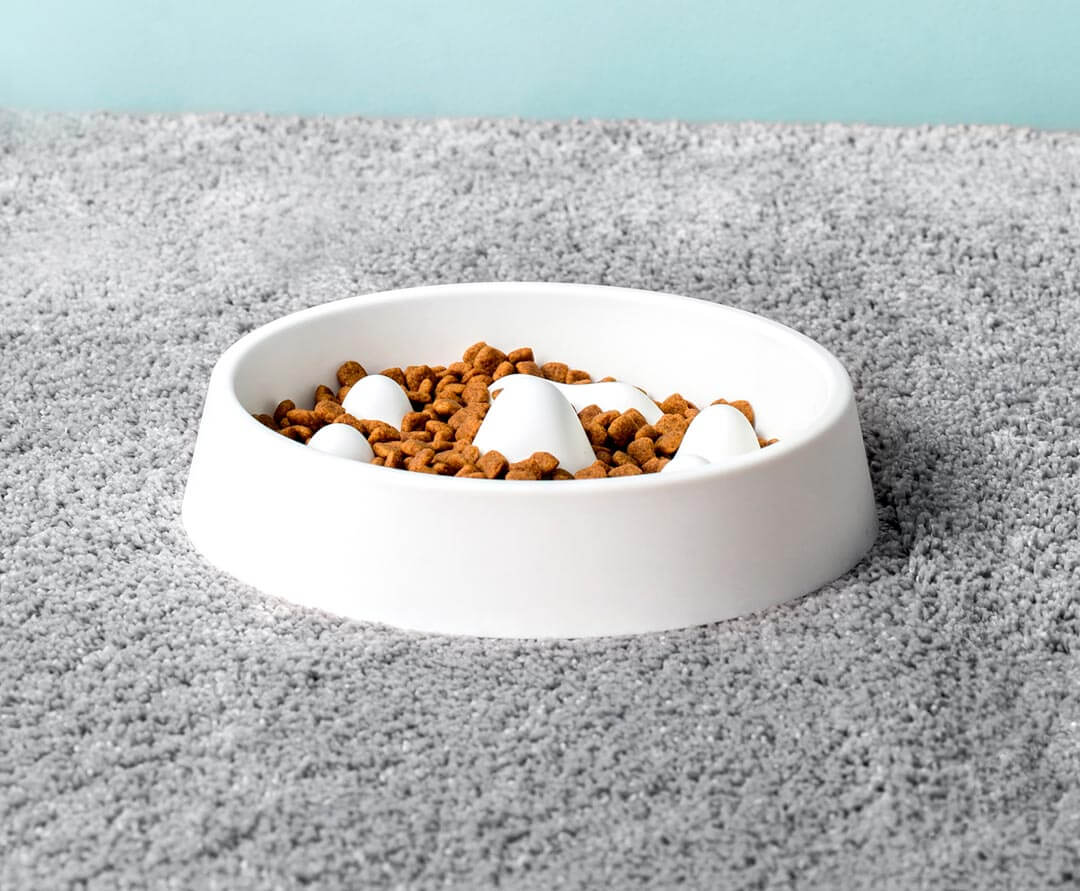 Dog Slow Feeder Bowl Raised Dividers 2-Cup Capacity