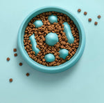 Dog Slow Feeder Bowl Raised Dividers 2-Cup Capacity