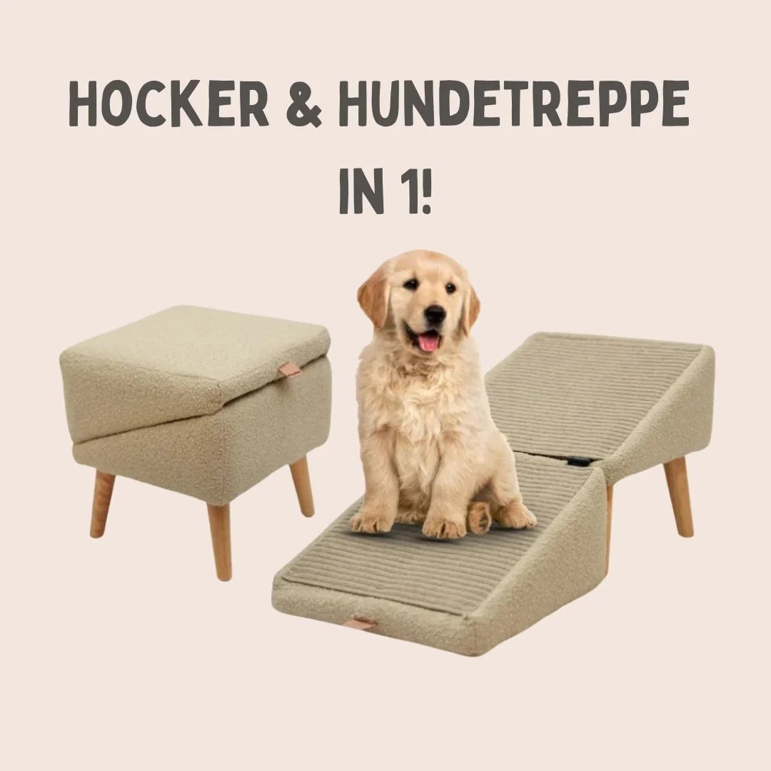 Dog Stairs & Stool 2-in-1 Non-Slip Ramp