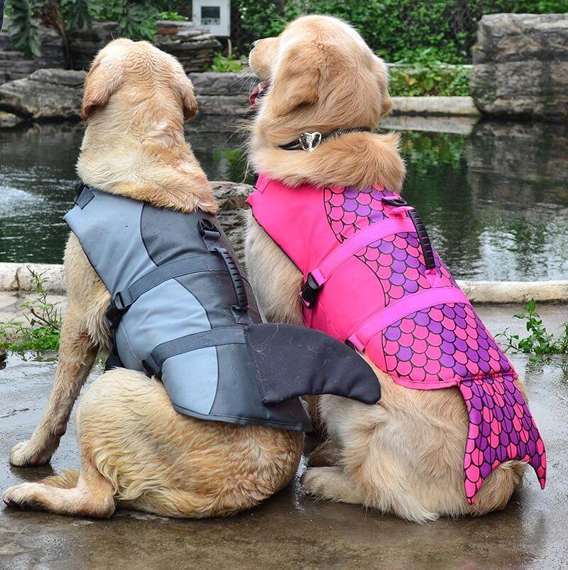 Dog Swim Vest Nylon Shark-Inspired Design Sizes S–L