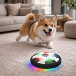 Dog Toy Ball Interactive Random Bouncing Indoor & Outdoor Play