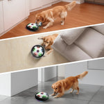 Dog Toy Ball Interactive Random Bouncing Indoor & Outdoor Play