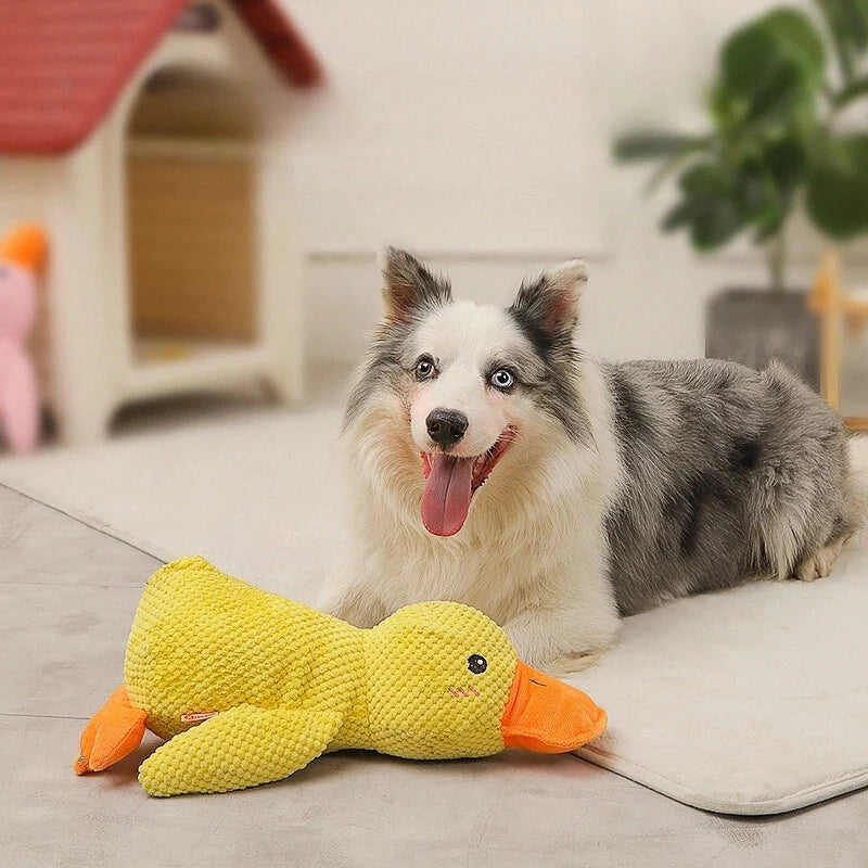 Dog Toy Durable Plush Dental Cleaning