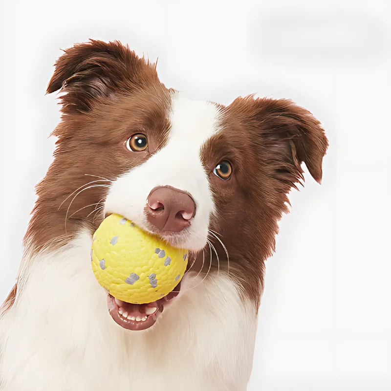 Dog Toy Interactive Calming Chew-Resistant 3-Pack