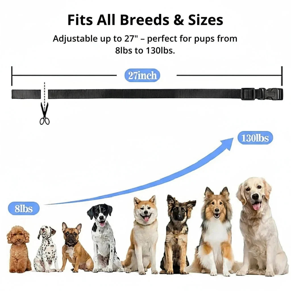 Dog Training Collar 1000m Long-Range Waterproof & Rechargeable