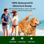 Dog Training Collar 1000m Long-Range Waterproof & Rechargeable