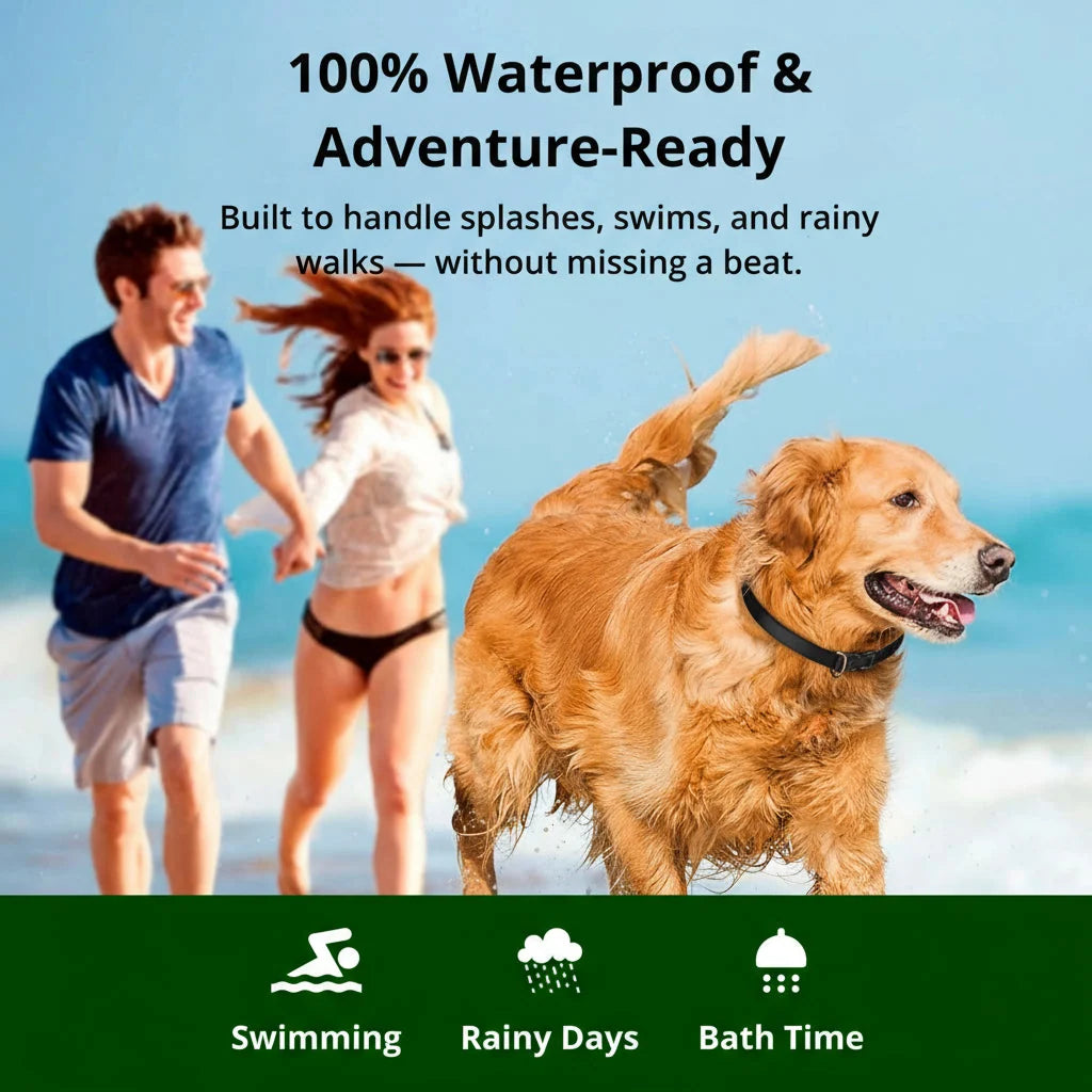 Dog Training Collar 1000m Long-Range Waterproof & Rechargeable