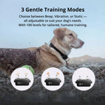 Dog Training Collar 1000m Long-Range Waterproof & Rechargeable