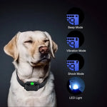 Dog Training Collar Waterproof 2600 Ft Vibration & Tone