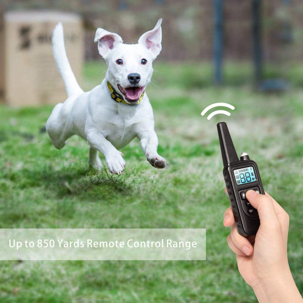 Dog Training Collar Waterproof 2600 Ft Vibration & Tone