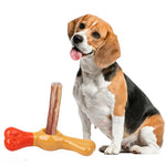 Dog Treat Holder Chew-Resistant Non-Slip Grip