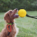 Dog Tug Toy Textured Chew Ball & Durable Rope