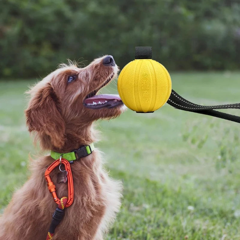 Dog Tug Toy Textured Chew Ball & Durable Rope