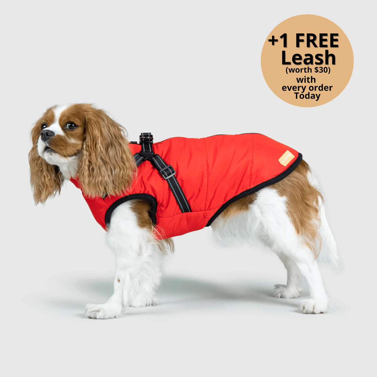 Dog Winter Jacket Built-In Harness Wind & Water-Resistant