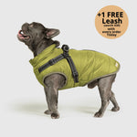 Dog Winter Jacket Built-In Harness Wind & Water-Resistant