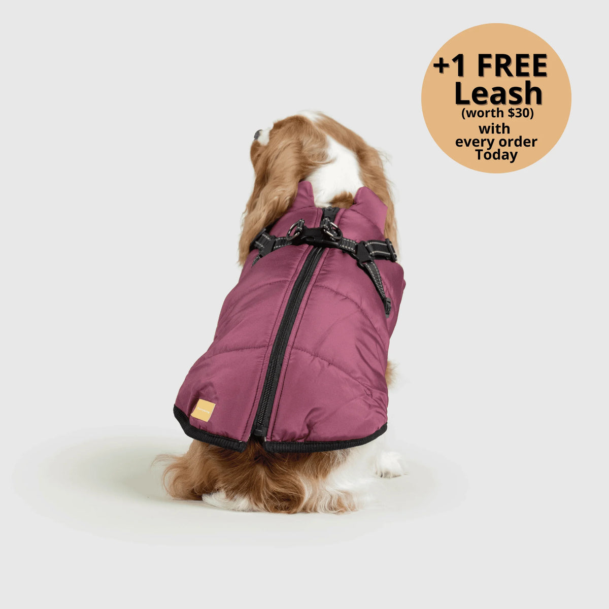 Dog Winter Jacket Built-In Harness Wind & Water-Resistant