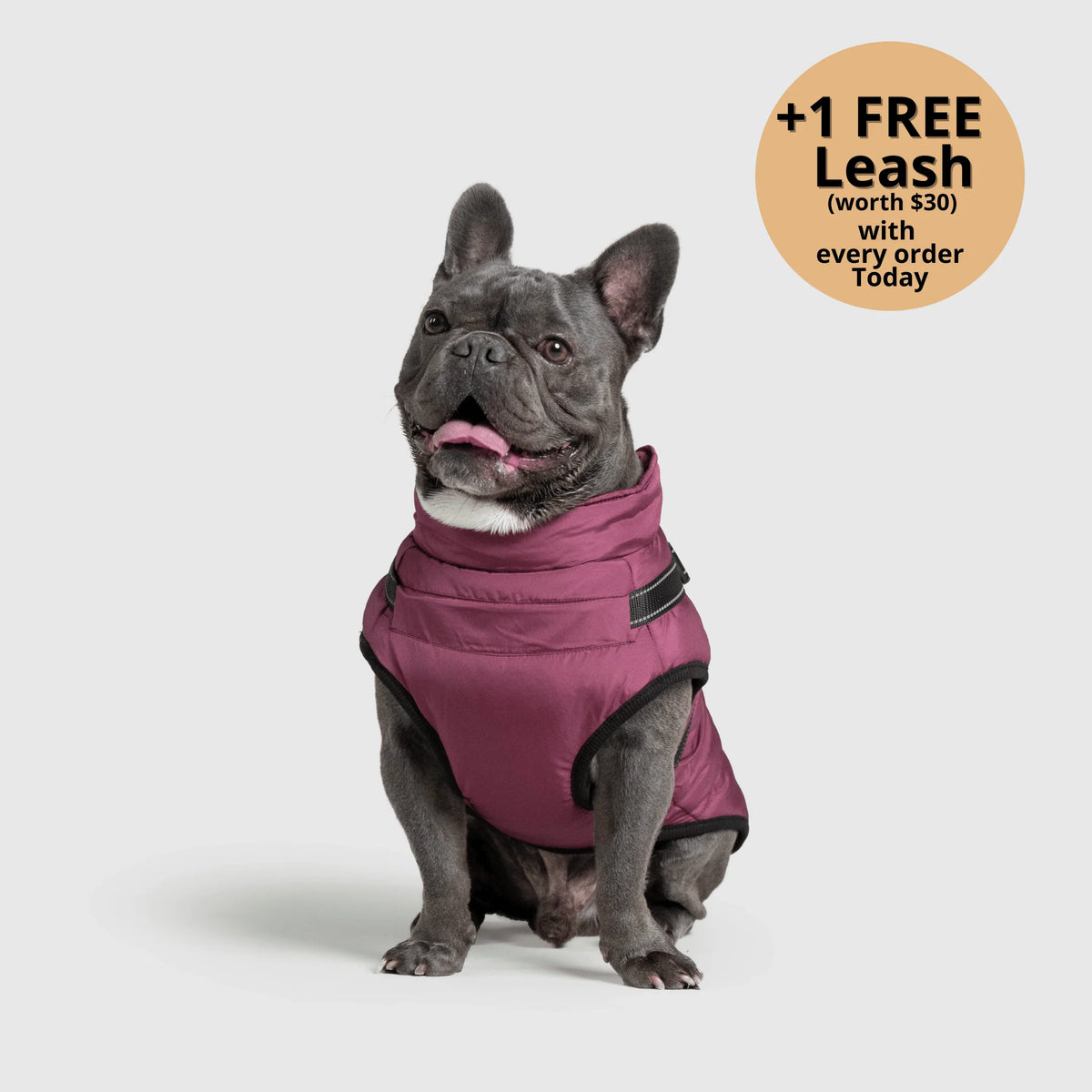 Dog Winter Jacket Built-In Harness Wind & Water-Resistant