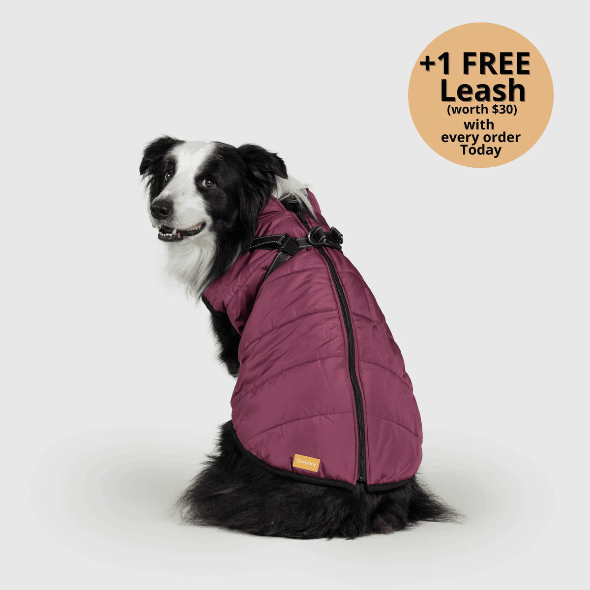 Dog Winter Jacket Built-In Harness Wind & Water-Resistant