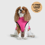 Dog Winter Jacket Built-In Harness Wind & Water-Resistant