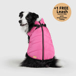 Dog Winter Jacket Built-In Harness Wind & Water-Resistant