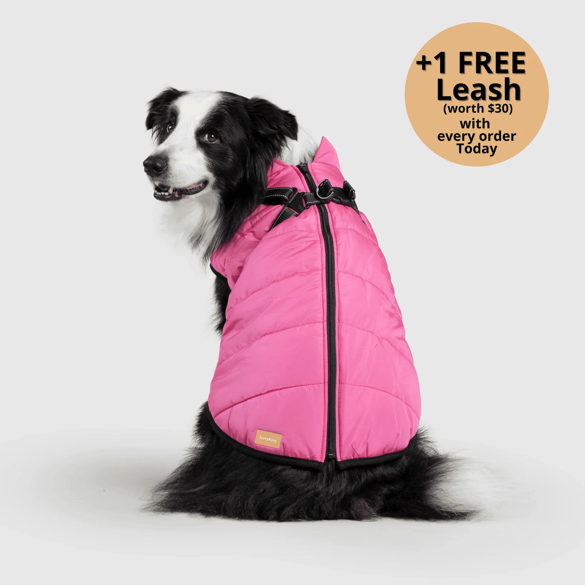 Dog Winter Jacket Built-In Harness Wind & Water-Resistant